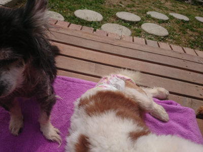f:id:roukenhome-ann:20190527173204j:plain