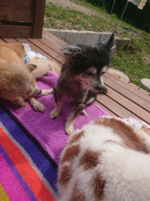 f:id:roukenhome-ann:20190527173209j:plain