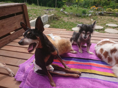 f:id:roukenhome-ann:20190527173258j:plain