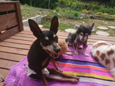 f:id:roukenhome-ann:20190527173304j:plain