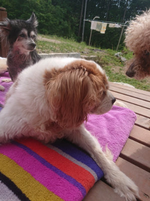 f:id:roukenhome-ann:20190527173346j:plain