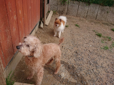 f:id:roukenhome-ann:20190527183913j:plain