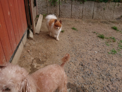 f:id:roukenhome-ann:20190527183944j:plain