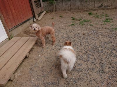 f:id:roukenhome-ann:20190527184120j:plain