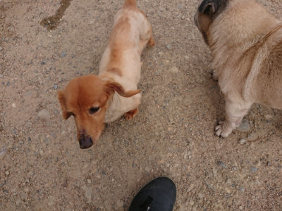 f:id:roukenhome-ann:20190527184147j:plain