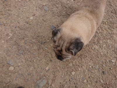 f:id:roukenhome-ann:20190527184210j:plain