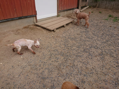 f:id:roukenhome-ann:20190527184216j:plain