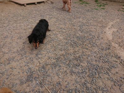 f:id:roukenhome-ann:20190527184245j:plain
