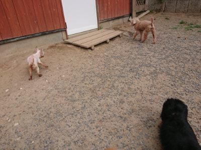 f:id:roukenhome-ann:20190527184251j:plain