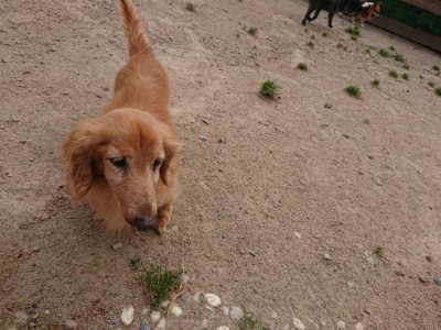f:id:roukenhome-ann:20190527184304j:plain