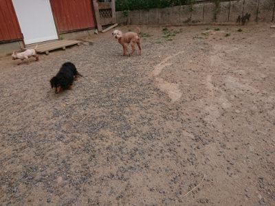 f:id:roukenhome-ann:20190527184309j:plain