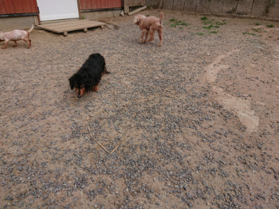 f:id:roukenhome-ann:20190527184313j:plain