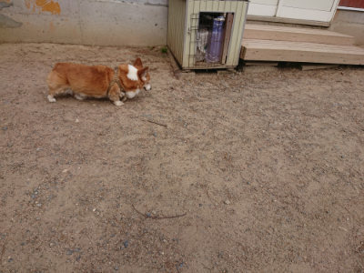 f:id:roukenhome-ann:20190527184328j:plain