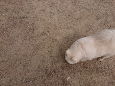 f:id:roukenhome-ann:20190527184334j:plain