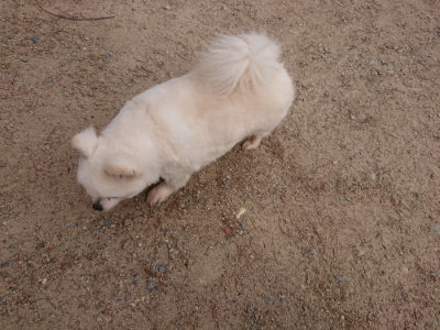 f:id:roukenhome-ann:20190527184339j:plain