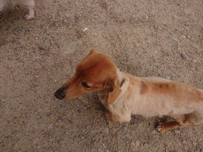 f:id:roukenhome-ann:20190527184346j:plain