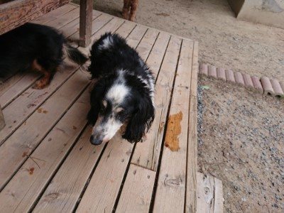 f:id:roukenhome-ann:20190527184547j:plain