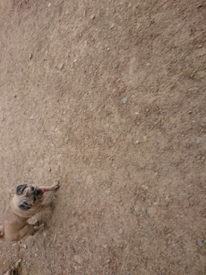 f:id:roukenhome-ann:20190527184600j:plain