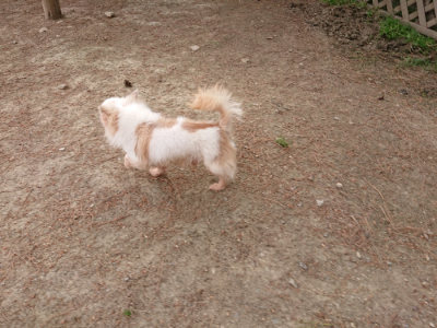 f:id:roukenhome-ann:20190527184624j:plain