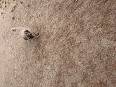 f:id:roukenhome-ann:20190527184637j:plain