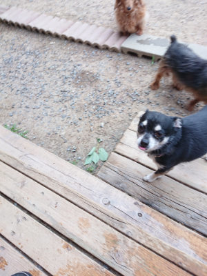 f:id:roukenhome-ann:20190527184832j:plain