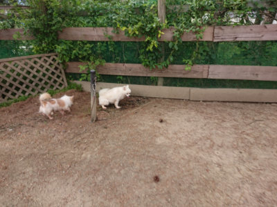 f:id:roukenhome-ann:20190527184846j:plain