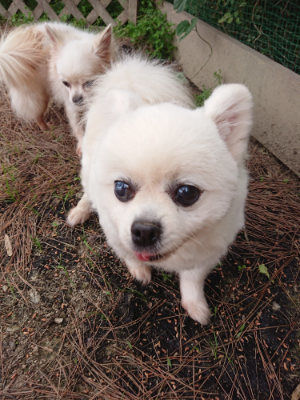 f:id:roukenhome-ann:20190527184854j:plain