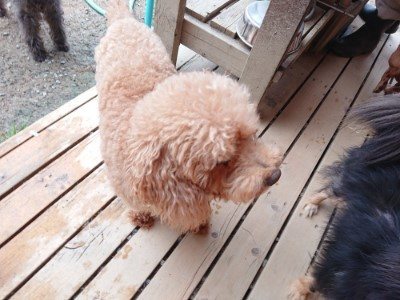f:id:roukenhome-ann:20190527184908j:plain