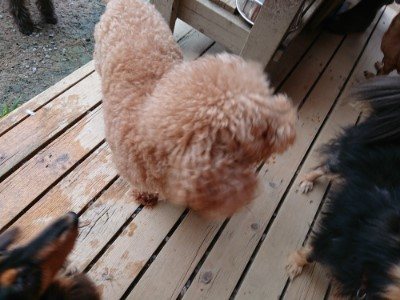f:id:roukenhome-ann:20190527184912j:plain