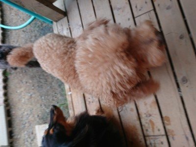 f:id:roukenhome-ann:20190527184916j:plain