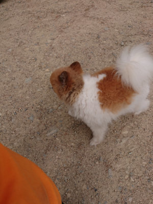 f:id:roukenhome-ann:20190527185029j:plain