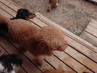 f:id:roukenhome-ann:20190527185040j:plain
