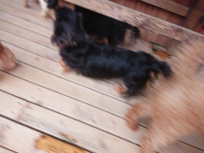 f:id:roukenhome-ann:20190527185111j:plain