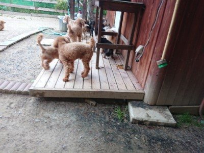 f:id:roukenhome-ann:20190527185147j:plain