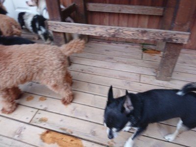 f:id:roukenhome-ann:20190527185455j:plain