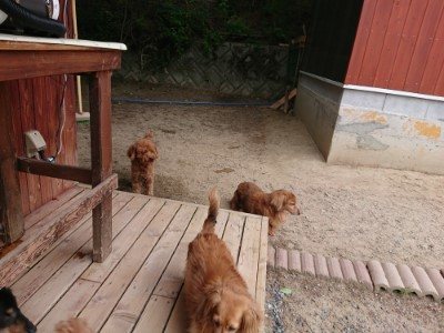 f:id:roukenhome-ann:20190527185602j:plain