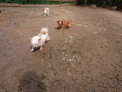 f:id:roukenhome-ann:20190529144328j:plain