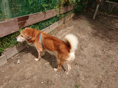f:id:roukenhome-ann:20190529144346j:plain
