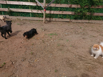 f:id:roukenhome-ann:20190529144353j:plain