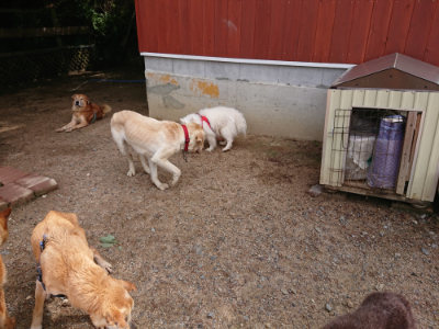 f:id:roukenhome-ann:20190529144412j:plain
