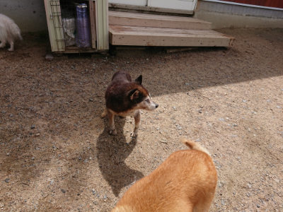 f:id:roukenhome-ann:20190529144434j:plain