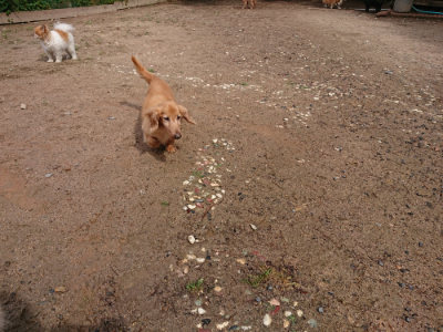 f:id:roukenhome-ann:20190529144657j:plain