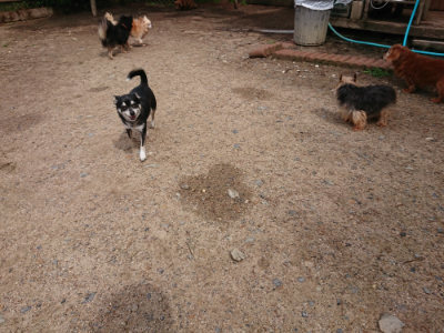 f:id:roukenhome-ann:20190529144711j:plain