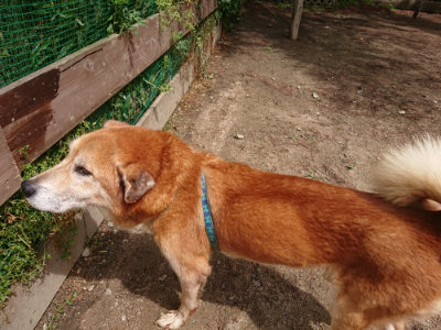f:id:roukenhome-ann:20190529144725j:plain