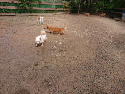 f:id:roukenhome-ann:20190529144732j:plain