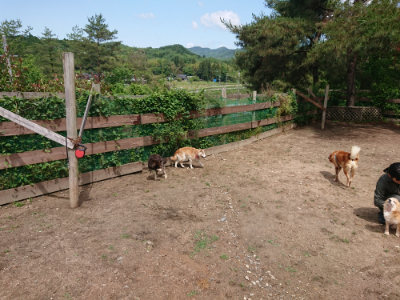 f:id:roukenhome-ann:20190529144835j:plain