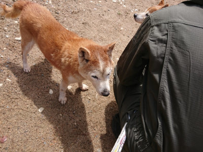 f:id:roukenhome-ann:20190529144840j:plain