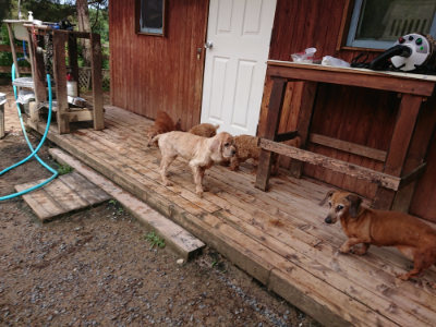 f:id:roukenhome-ann:20190529144856j:plain