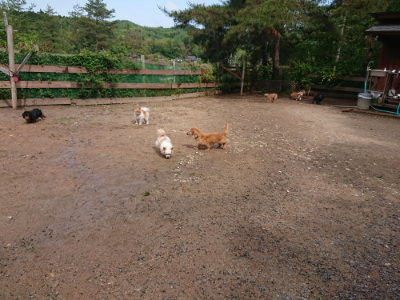 f:id:roukenhome-ann:20190529144915j:plain