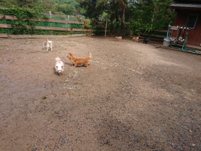 f:id:roukenhome-ann:20190529144920j:plain